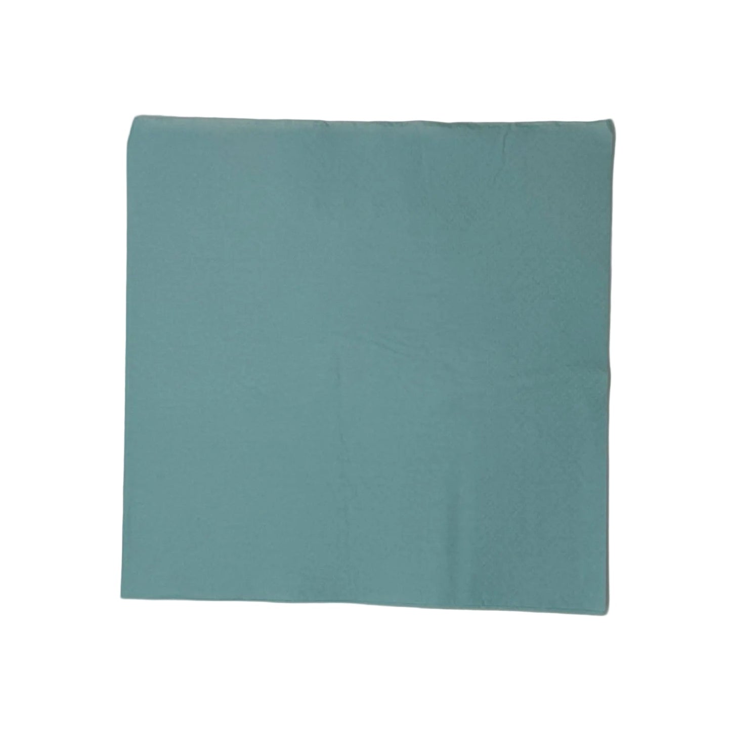 Light blue square Napkin 